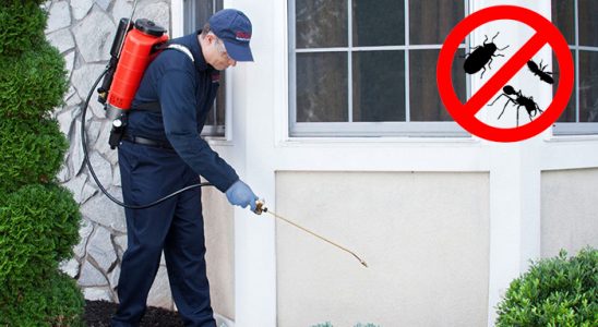 Kulp Hamam Böceği İlaçlama böcek ilaçlama ve haşere kontrolü — ilaclama-tr.com